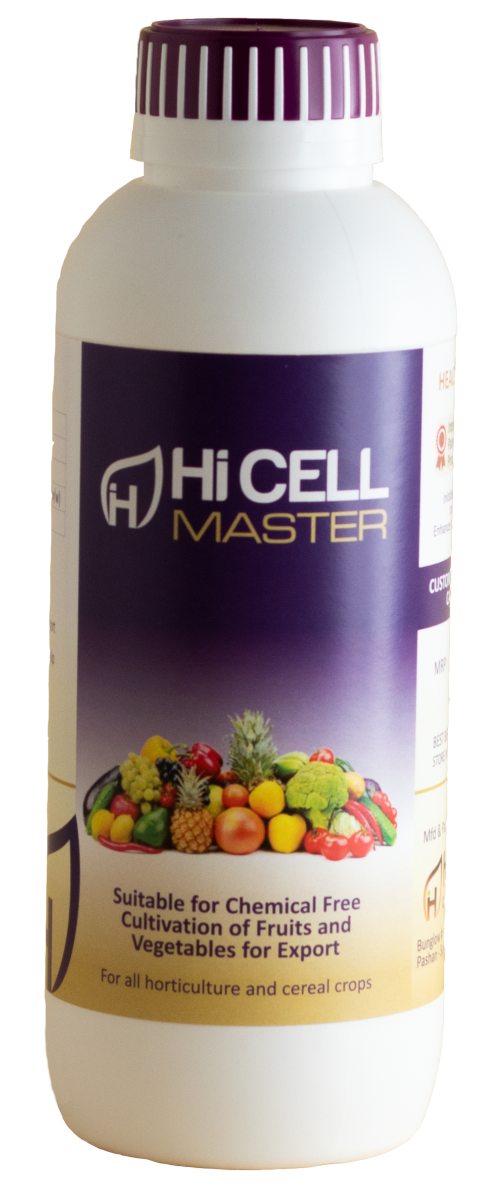 hicell master