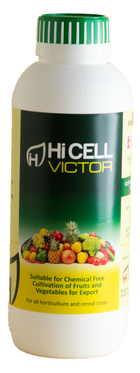 hi cell victor