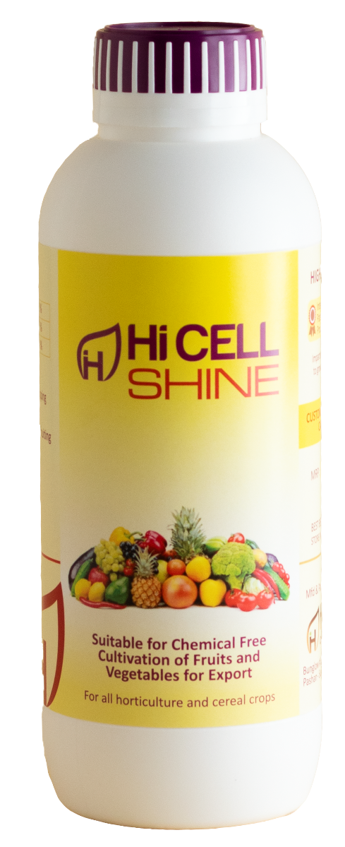 hi cell shine