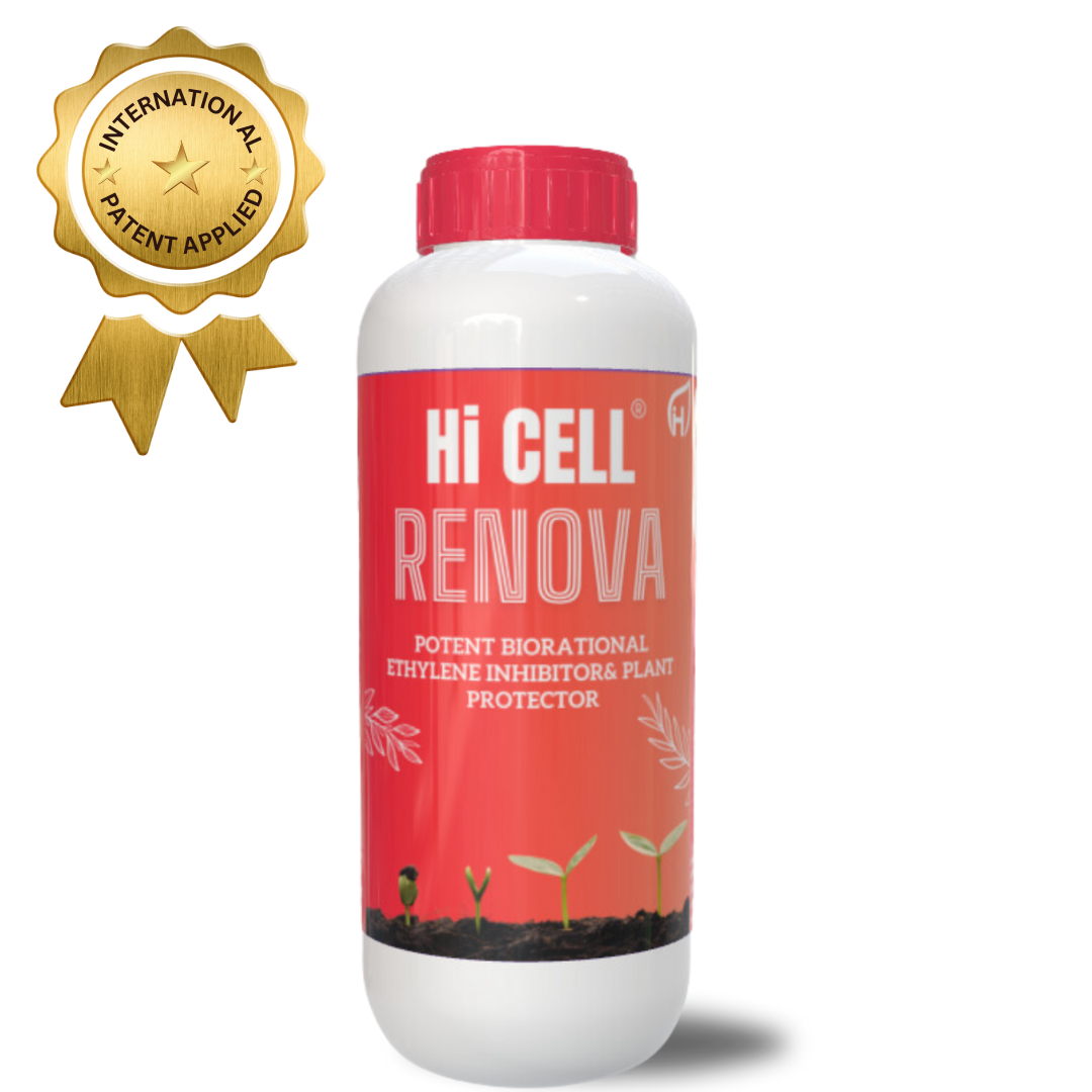 hi cell renova